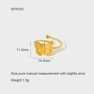 DFR163/Open 