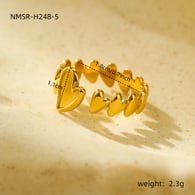 NMSR-H248-5 Resim5