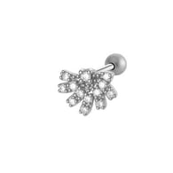 024-3# Silver Picture6