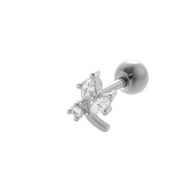 036—Silver Picture2