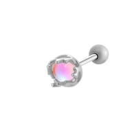 031—Silver Picture4