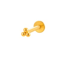 769-Gold Picture9