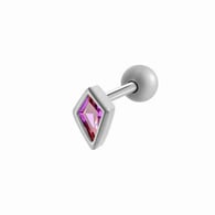 015—Silver Picture5