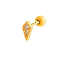 016 - Gold Picture15