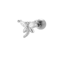 036—Silver Picture4