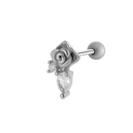 017 – Silber Bild7