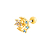 023 - Gold Picture12
