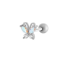 019—Silver Picture6