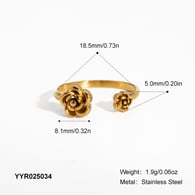 YYR025034 