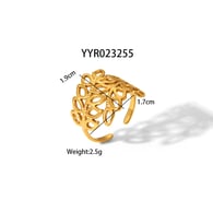 YYR023255 Immagine2