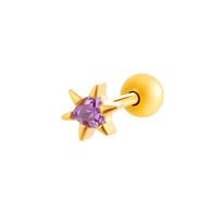 025—Gold Picture11