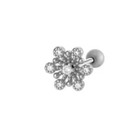 024-1# Silver Picture2