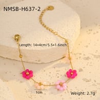 NMSB-H637-2 Resim5