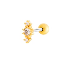 035 - Gold Picture11