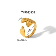 YYR023258 Immagine5