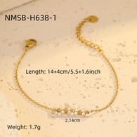 NMSB-H638-1 Resim7