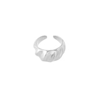 silver color Image2