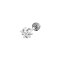 4MM Picture12