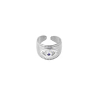silver color Resim2