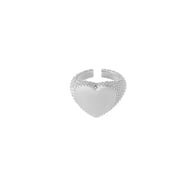 silver color Image2