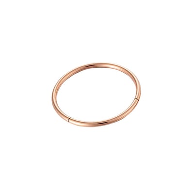 1 Piece Minimalist Stainless Steel Gold Color Women's Piercings Earrings h5 