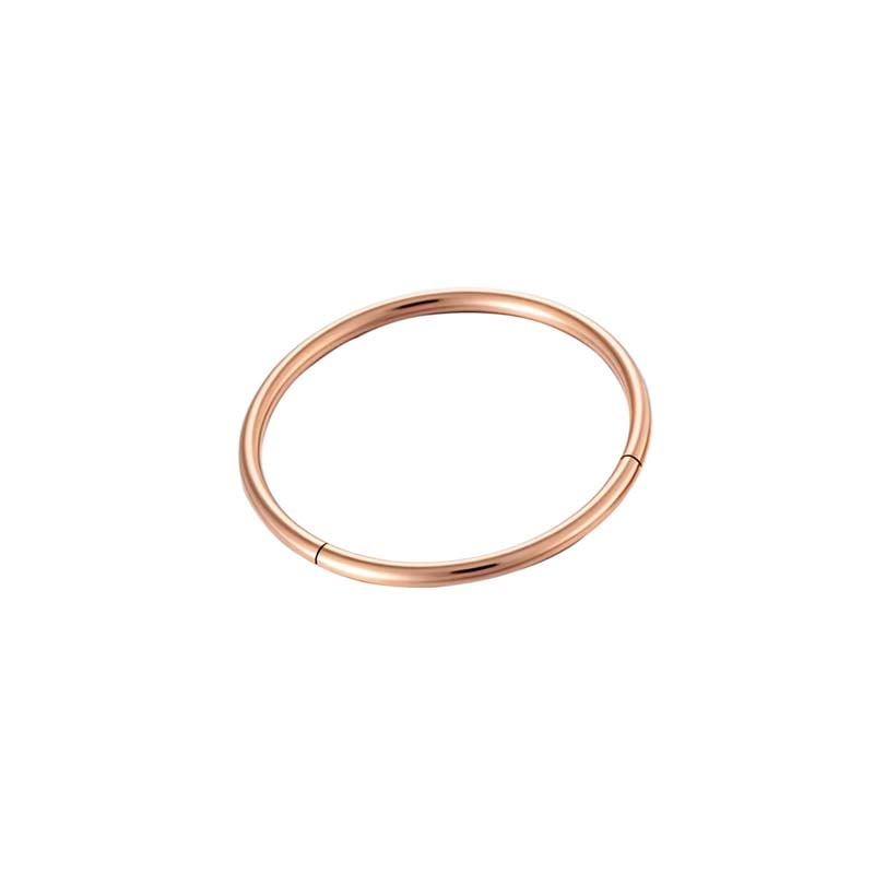1 Piece Minimalist Stainless Steel Gold Color Women's Piercings Earrings 