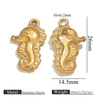 Gouden zeepaardje Afbeelding9