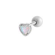 Argento 921-2# Immagine12