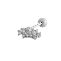 022—Silver Picture4