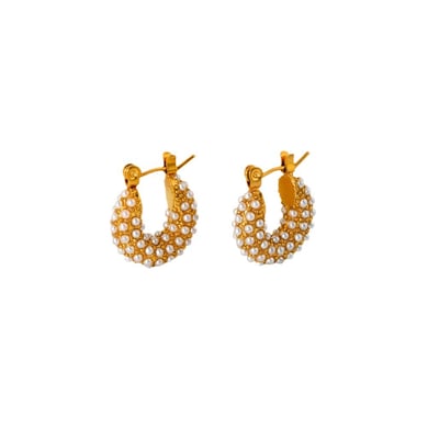 Pendientes elegantes de acero inoxidable para mujer de la serie Luxury h5 Imagen5