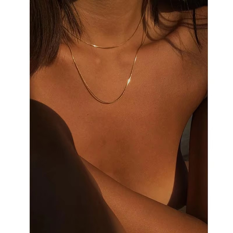 Simple and Versatile Double-layer Stainless Steel Women's Necklace Picture3