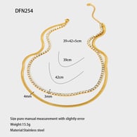 DFN254 