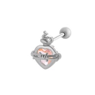 023—Silver Picture7
