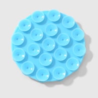 Blue 1 Picture8
