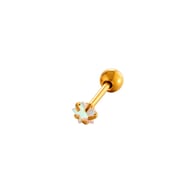 3MM-Gold Picture19