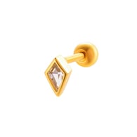 026 - Gold Picture11