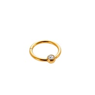 Zircon Picture4