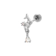 036—Silver Picture7