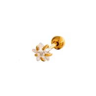 4MM Picture24