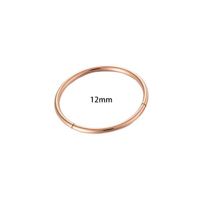 1 Piece Minimalist Stainless Steel Gold Color Women's Piercings Earrings h5 Picture2