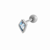 015—Silver Picture2