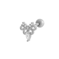 016—Silver Picture8
