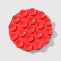 Red 1 Picture5