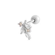 018—Silver Picture4
