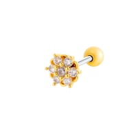 022—Gold Picture10