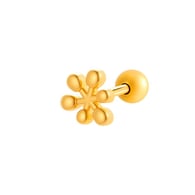 016 - Gold Picture9