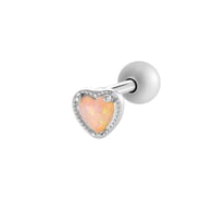 Argento 921-3# Immagine11