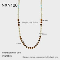 NXN120 