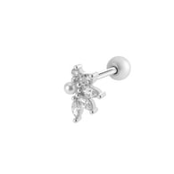 2# Silver Picture22