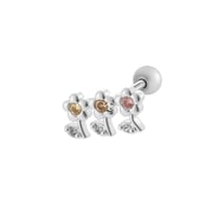 5# Silver Picture10